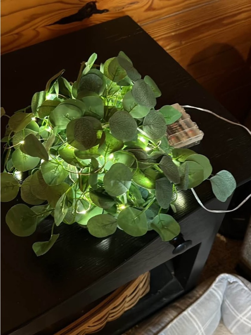 Eucalyptus String Lights w/Remote Control (2 Sets)